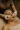 extractions1